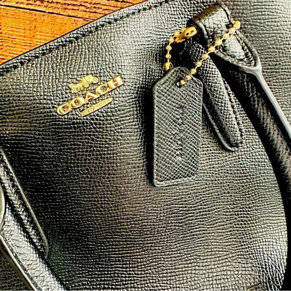 Coach Mini Sage Carryall Crossbody Satchel Bag - Picture 12 of 13